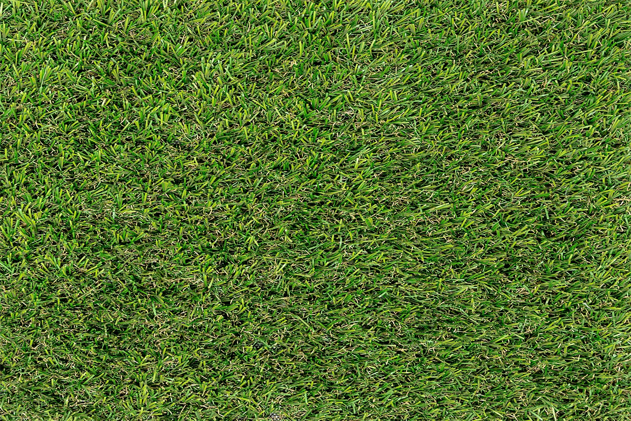 GreenBasic 25 – Césped artificial básico 25mm - Imagen 3