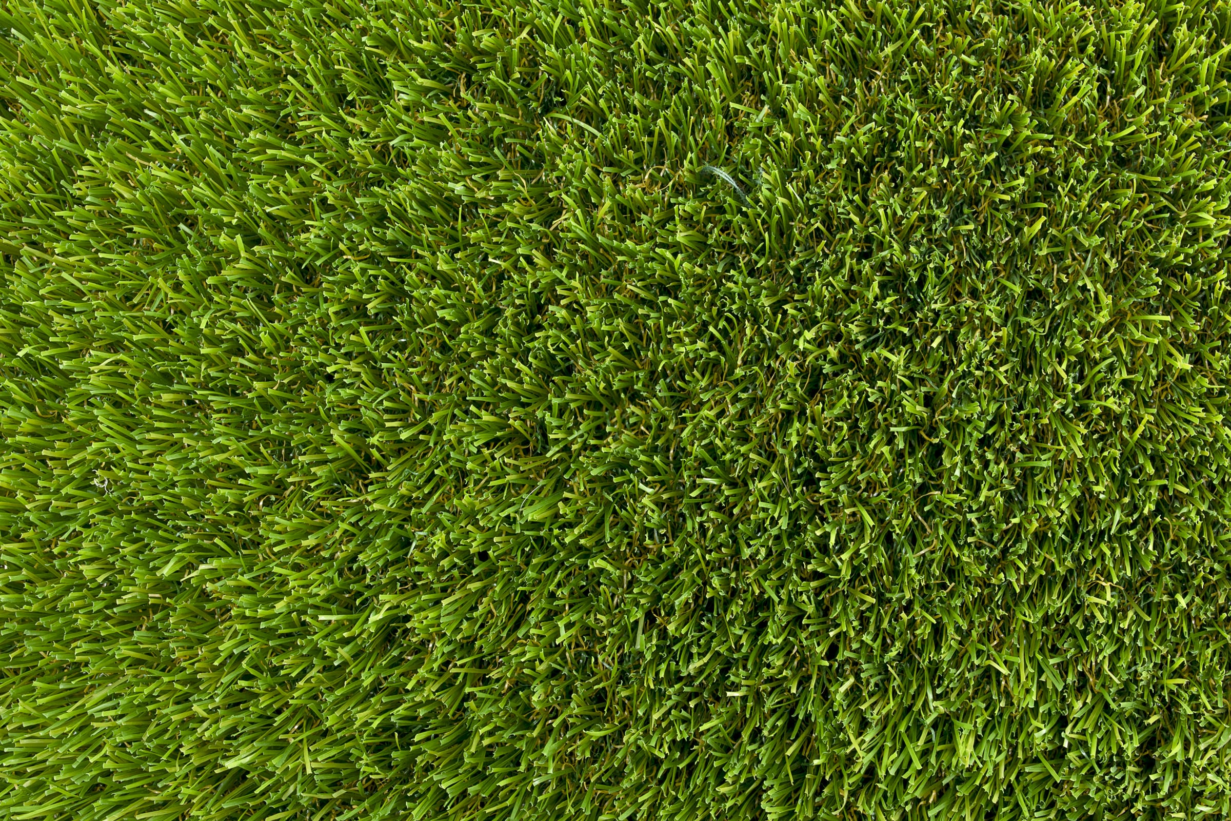 PremiumSoft 50 – Césped artificial premium 50mm - Imagen 4