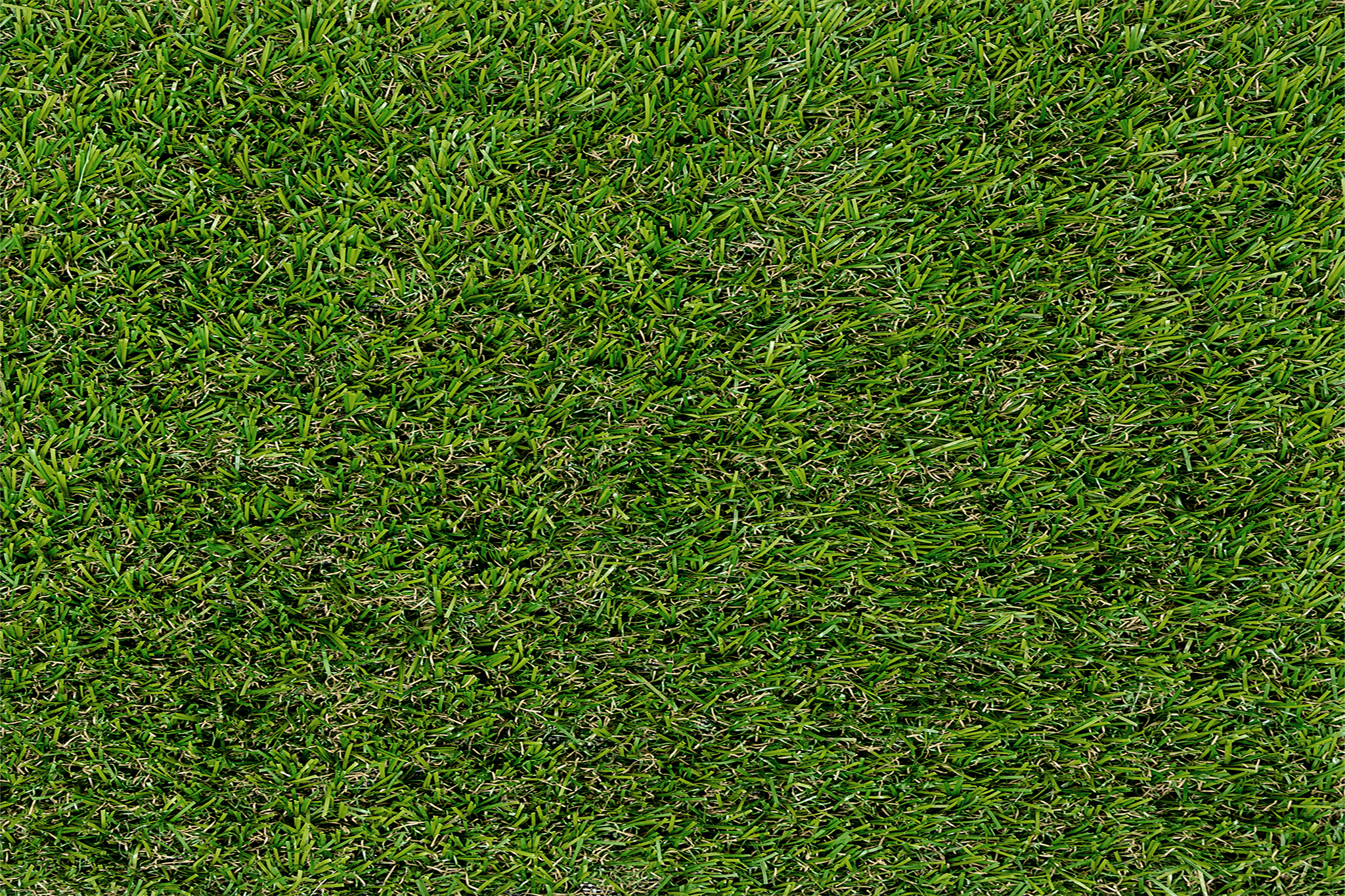 Fresh 22 – Césped artificial básico 22mm - Imagen 5